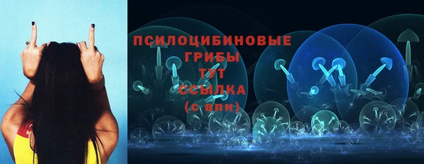 гашик Володарск