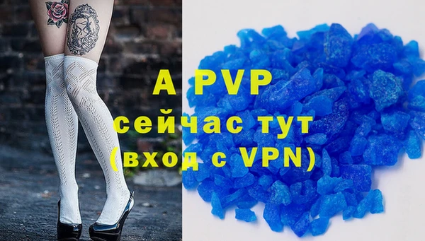 гашик Володарск